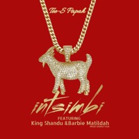 Intsimbi (feat. Barbie Matildah) - Single - Tee-s Papah, MJunior Records International & KINGSHANDU M16