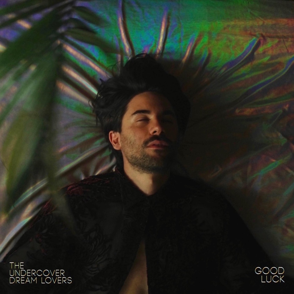 Good Luck cover art