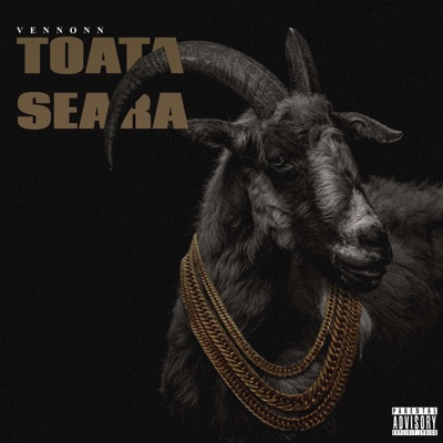 TOATA SEARA - Single