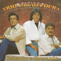 Bebendo e chorando - Trio Parada Dura