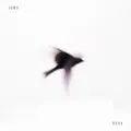 Лечу