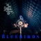 Bluebirds (feat. Michael Daves) artwork