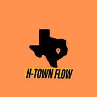 H Town Flow - Single - BigMikeLabLife