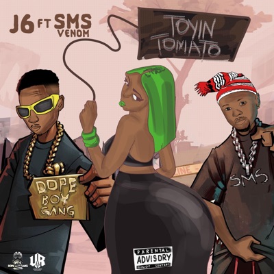 Toyin Tomato (feat. sms venom) - Single
