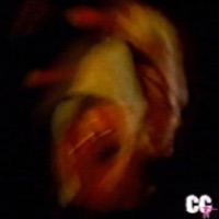 Bratz - Single - Carcer Crew TV