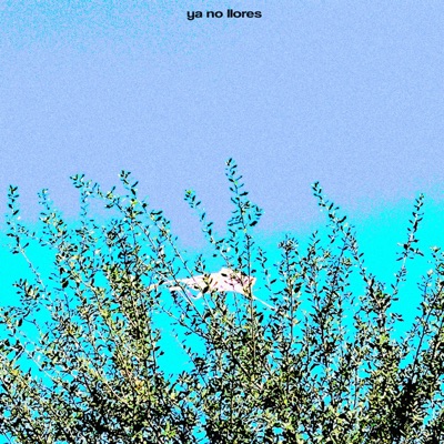 ya no llores - Single
