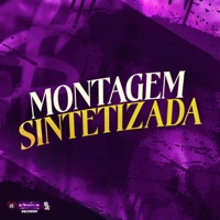 Montagem Sintetizada (feat. MC GW & mc pl alves) - Single - Dj snart