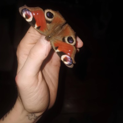 zéro_carat - Single