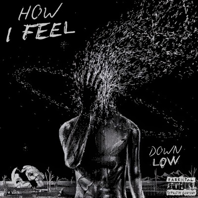 HOW I FEEL (feat. XONDA) [DOWN LOW] - Single