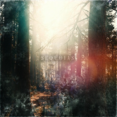 Sequoias - Single