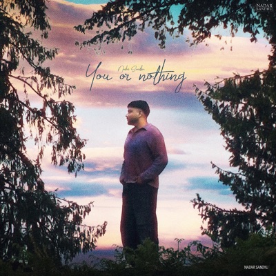 You or Nothing - Single