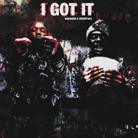 I Got It (feat. iam3hard, 2sdxrt3all & Whyceg) TempTimeRadio