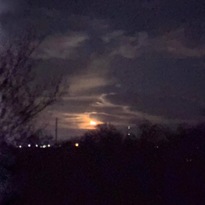 Wont be alone tonight - Single