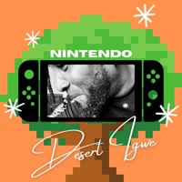 Nintendo - Single - Desert Igwe