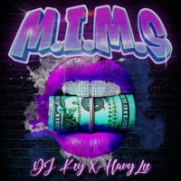 M.I.M.S. - Single - DJ KEY & HavyLee