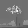 预感你会回来