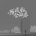 预感你会回来