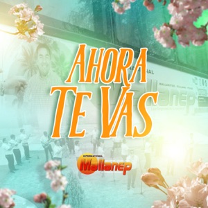Y Ahora Te Vas - Single