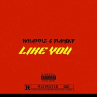 LIKE YOU (feat. G DIAMOMD) - Single - WHATITIZ