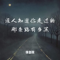 没人知道你走过的那条路有多黑 - Single - 徐剑秋