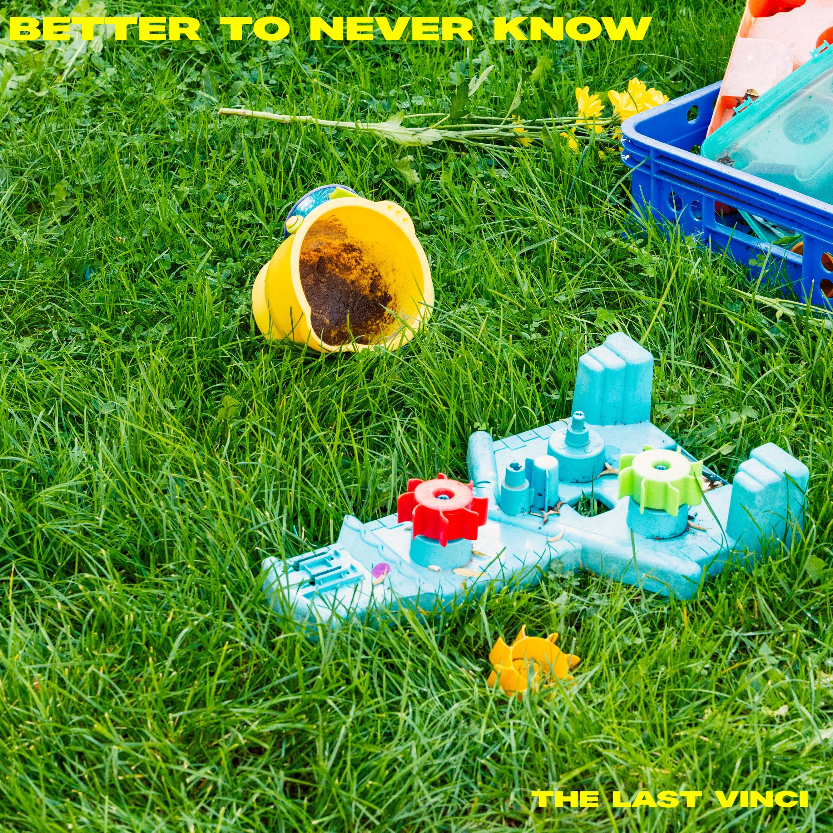 Better to Never Know - Single
