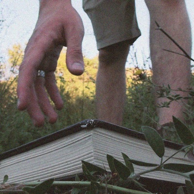 From Ace, For Bear - Single