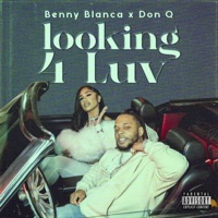 Looking 4 Luv - Single - Benny Blanca & Don Q