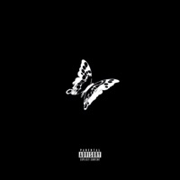 NEVER HATE YOU - Single - DarnedBeatz