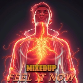 Feel It Now MixedUp