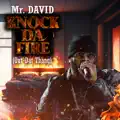 Mr David