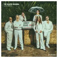 Love Is Dope — The Black Mamba