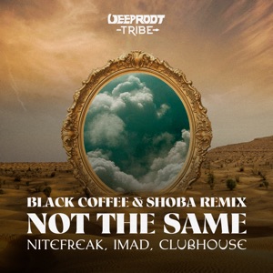 Not the Same (Black Coffee Feat. Shoba Remix)