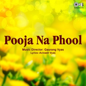 Pooja Na Phool (Original Soundtrack) - EP