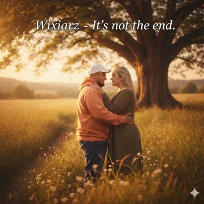 It's not the end - Single