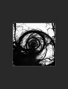 聆聽 SBG Nova、觀看音樂影片、閱讀小傳、查看巡演日期等！