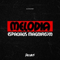 MELODIA ESPACIALIS MAGNIFICUM - Single - DJ MT 087 & FREST