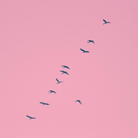 Love You (feat. Wo') N.A_trr