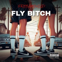 Fly Bitch - Single - Probl3mChild