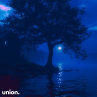 i wish that i was special to you - Single - Meltone, SØINS & Pandora