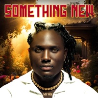 Something New - Single - Mr 6ix