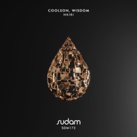 Nkiri - Single - COOLSON & Wisdom