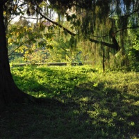 пропущенный звонок - Single - angelgrind