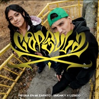 Piedra en Mi Zapato (Capsulax) - Single - Smonky & Lizboo