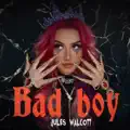 Bad Boy