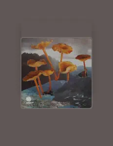 Poslechněte si interpreta Moiré Lights, sledujte hudební videa, přečtěte si životopis, podívejte se na data turné a další informace.