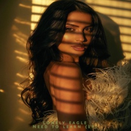 Need To Learn Lonely Eagle