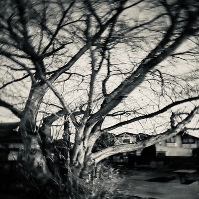 Passing Days
