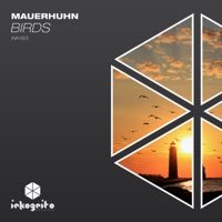 Birds - Single - Mauerhuhn