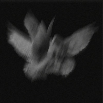 Flesh & Blood - Single