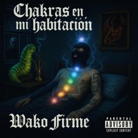 Chakras en mi habitación - Single - Wako firme
